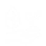 icono respeto naturaleza